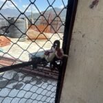 मसूरी में अवैध निर्माण पर एमडीडीए का शिकंजा, कैमल बैंक रोड स्थित भवन सील