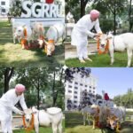 श्री गुरु राम राय विश्वविद्यालय में पहुंची दुनिया की सबसे छोटी नस्ल की नैनो गाय